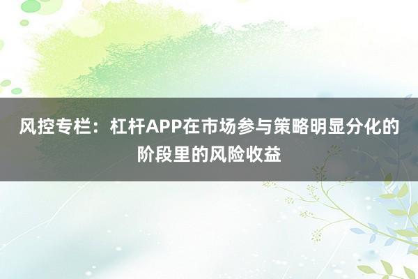 风控专栏:杠杆APP在市场参与策略明显分化的阶段里的风险收益