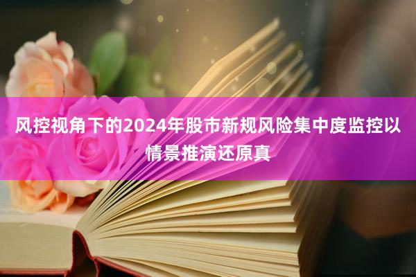 风控视角下的2024年股市新规风险集中度监控以情景推演还原真