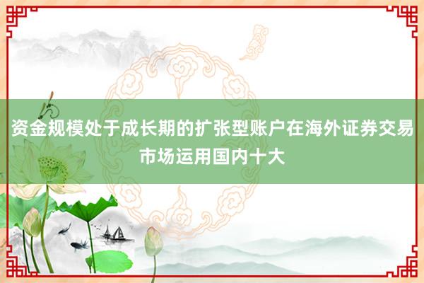 资金规模处于成长期的扩张型账户在海外证券交易市场运用国内十大