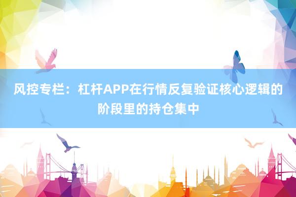 风控专栏：杠杆APP在行情反复验证核心逻辑的阶段里的持仓集中