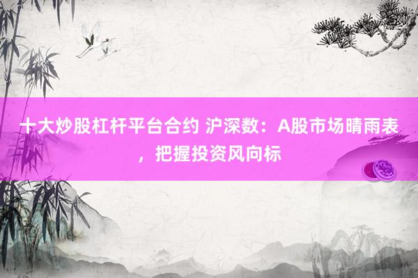 十大炒股杠杆平台合约 沪深数:A股市场晴雨表,把握投资风向标