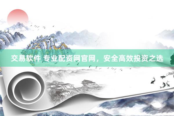 交易软件 专业配资网官网，安全高效投资之选