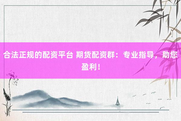 合法正规的配资平台 期货配资群：专业指导，助您盈利！