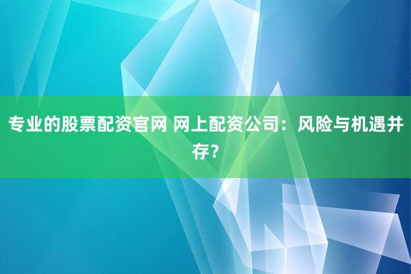 专业的股票配资官网 网上配资公司：风险与机遇并存？