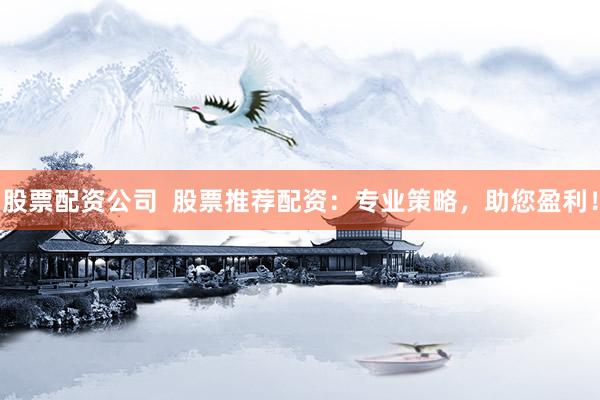 股票配资公司  股票推荐配资：专业策略，助您盈利！