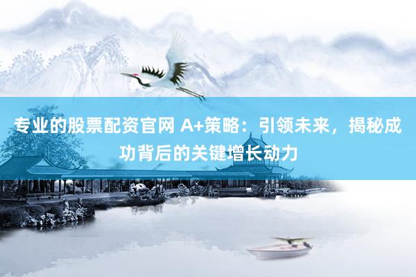 专业的股票配资官网 A+策略：引领未来，揭秘成功背后的关键增长动力